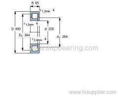 NUP 244 ECM bearing