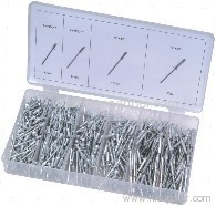 Rivet assortment 500pc