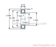 NJ 1996 MAv bearing