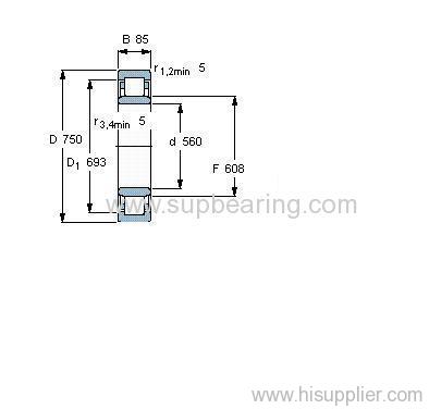 NU 19/560 ECMA bearing