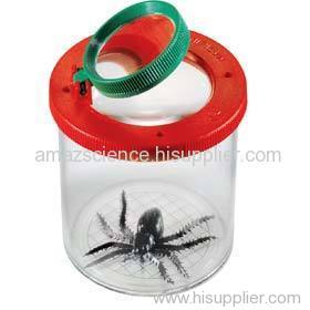 Bug Magnifier Box