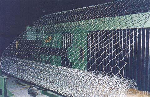 hexagonal wire mesh