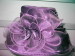 organza glass silk hat