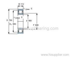 NU 29/560 ECMA bearing