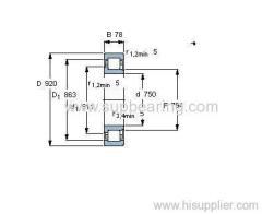 NJ 18/750 MA bearing