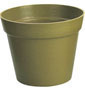 Biodegradable pot