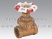 Brass Gate Valve with Red and White Handle