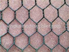 Hexagonal Wire Mesh