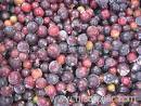 Black Currant Extract