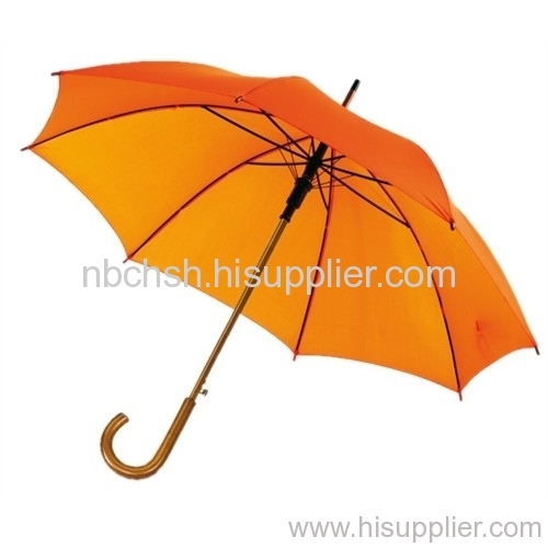 rain umbrella