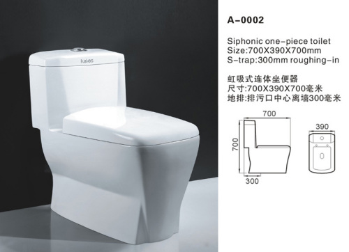 Siphonic one-piece toilet