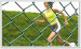 PVC Coated Chain Link Fence