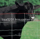 Cattle Mesh