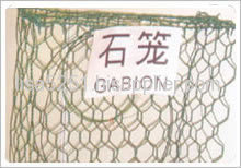 Hexagonal wire netting