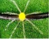 Micro sprinkler irrigation