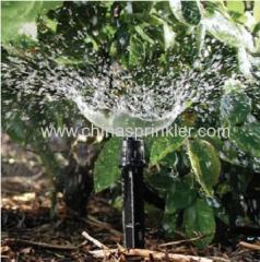 Bubbler Irrigation