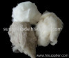 cashmere fibre