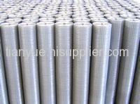 Galvanized Welded Wire Mesh