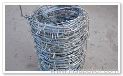 Barbed wire