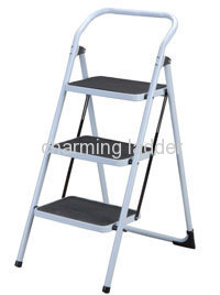 steel ladders