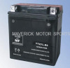 Lead Acid Motorcycle Battery