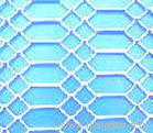 Perforated nettings