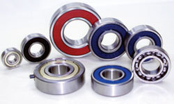 SKF Bearings