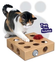 Cat Magic Toy