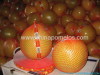 Honey pomelo fruit