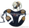 dog harness and leash