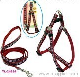 dog harness and leash