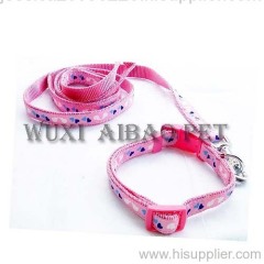 dog collar and leash