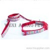 dog collar and leash