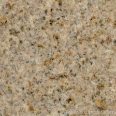 Prefabrciated G682 Granite Tiles