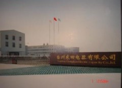 Taizhou Dongtian Electrical Co., Ltd.