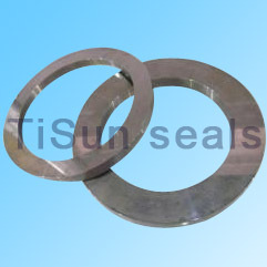 tungsten carbide seal rings