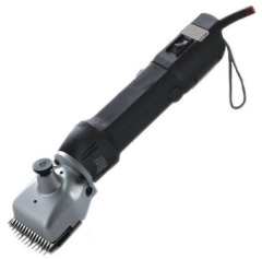 wahl horse clippers