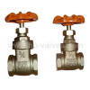 Gate Valve