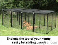 dog kennel