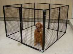dog kennel