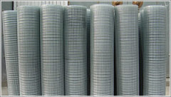 Standard Welded Wire Mesh