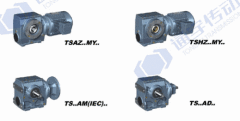 helical-worm gearmotor