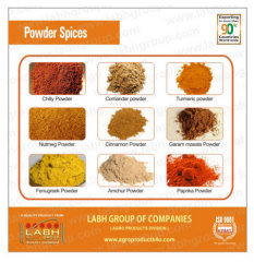 Powder Spices
