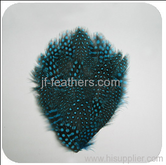 feather headwears