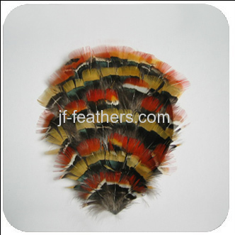 Feather Headwear