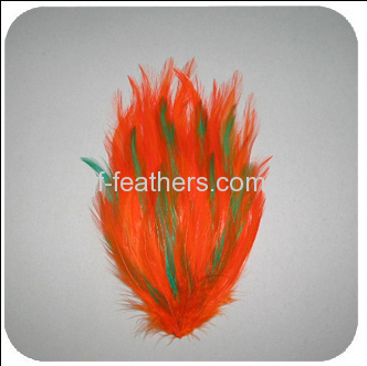 feather headdresses