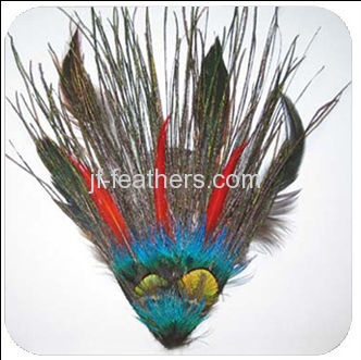 peacock feather pad