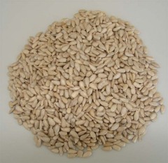 sunflower seed kernel