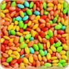 Haricot Bean Bubble Gum 1g (B015)