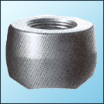 stainless steel threadolet